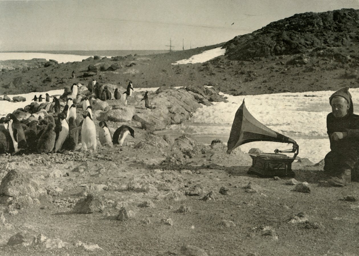 Les pingouins écoutant le gramophone pendant l