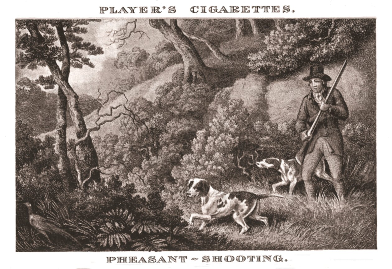 Chasse au faisan, 1924 - Unbekannt