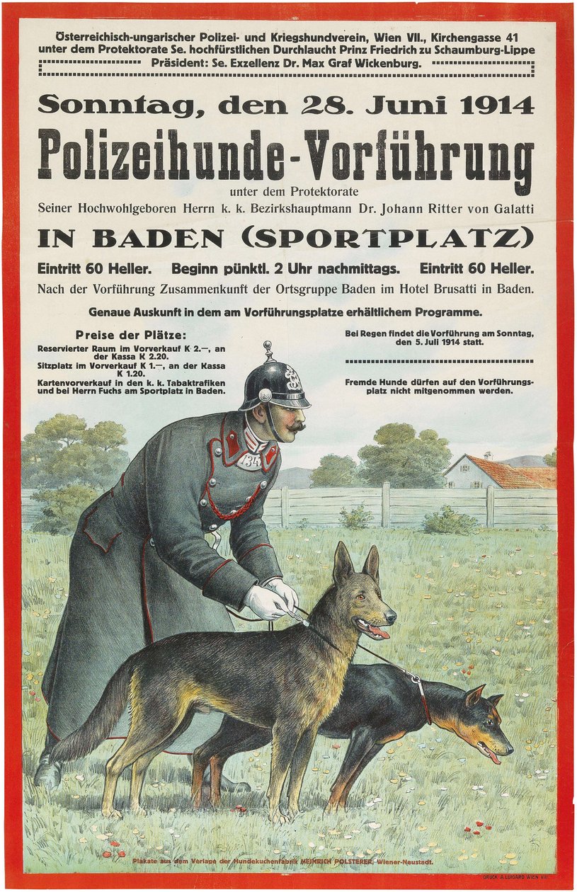 Démonstration de chien policier à Baden, 1914 - Unbekannt