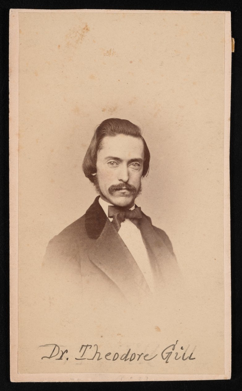 Portrait de Theodore Nicholas Gill - Unbekannt