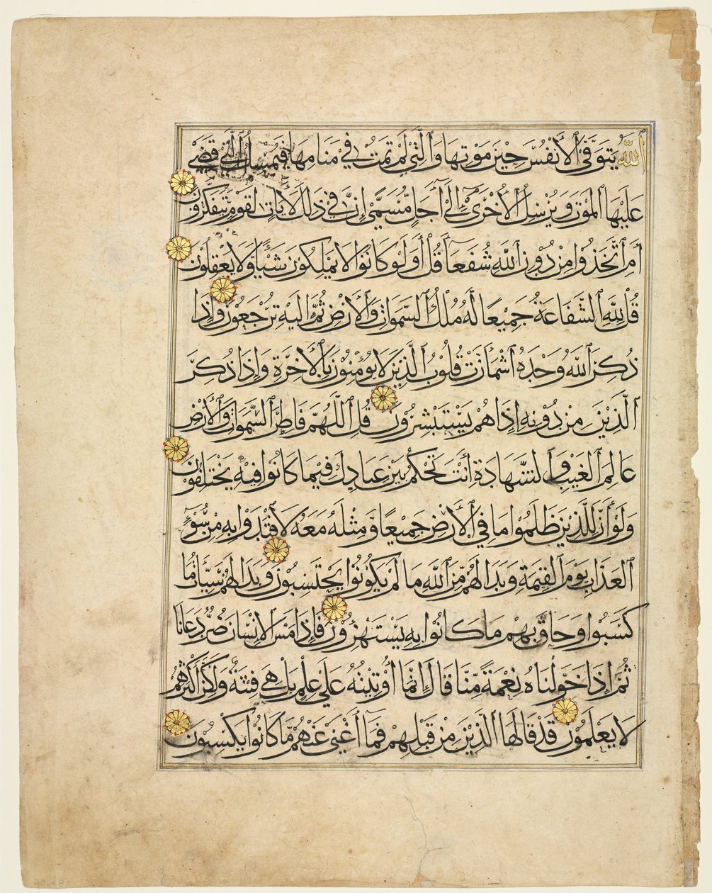 Folio recto du manuscrit du Coran, 1300s - Unbekannt