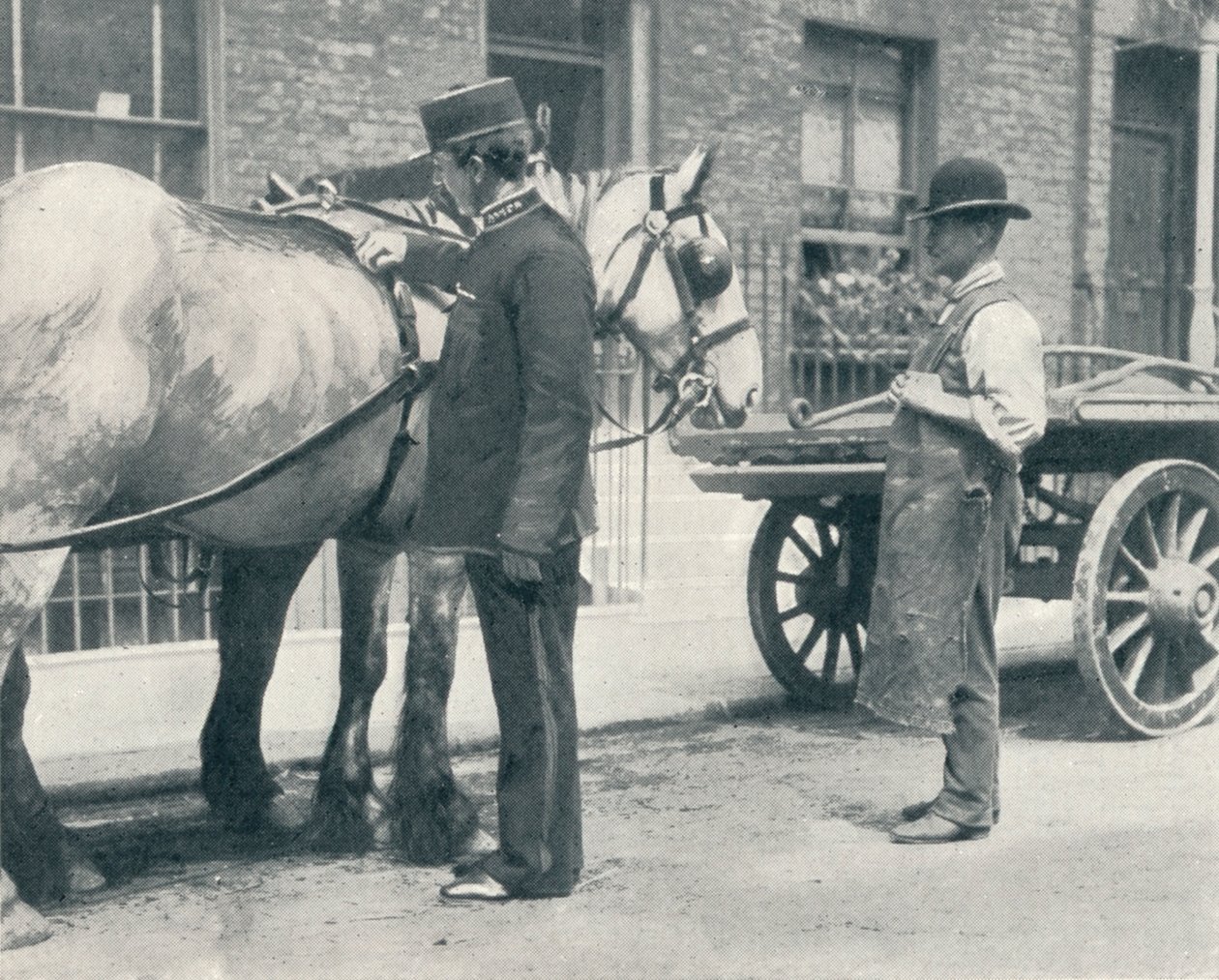 Inspecteur de la RSPCA examinant un cheval, vers 1903 - Unbekannt