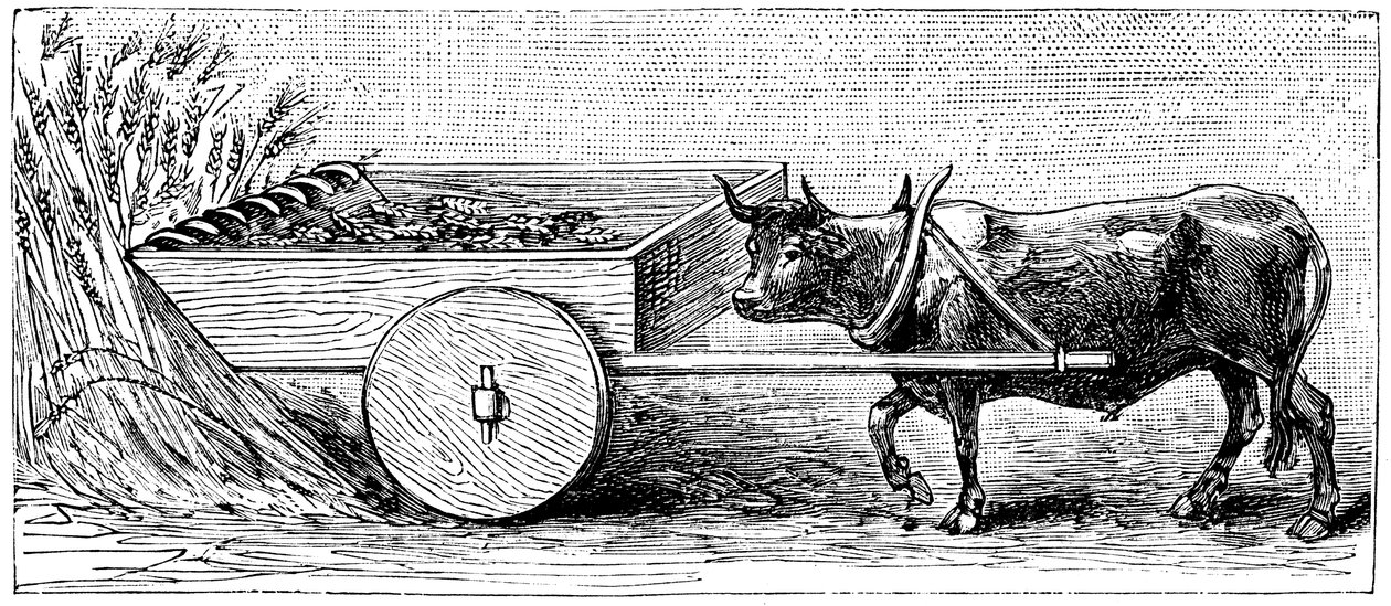 Reconstruction de la machine à moissonner utilisée en Gaule à l
