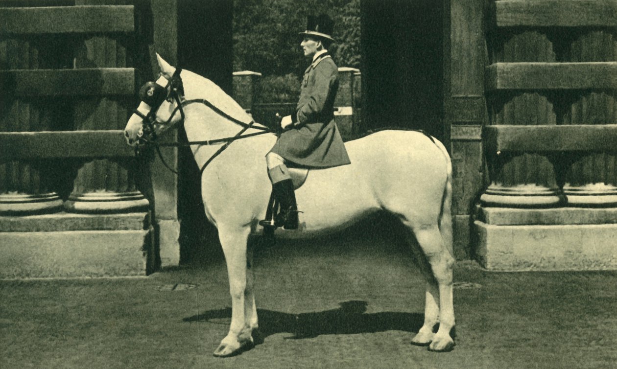 Cavalier royal en livrée écarlate, années 1950 - Unbekannt