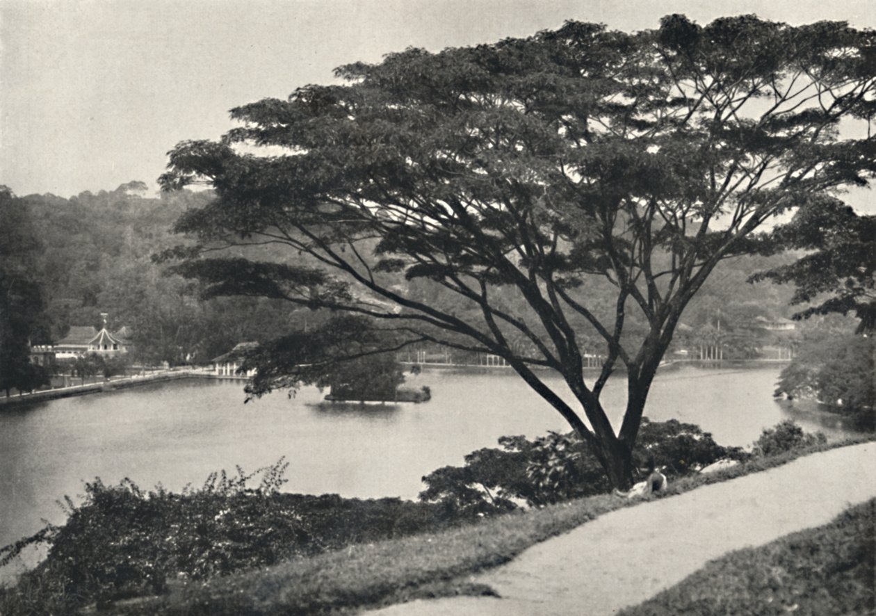 Voir, Temple de la Dent Sacrée et Bibliothèque à Kandy, vu du Victoria-Drive vers l