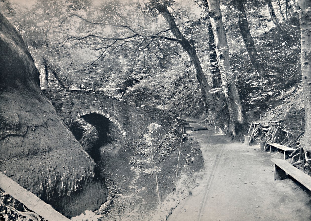 Shanklin - La Chine, 1895 - Unbekannt