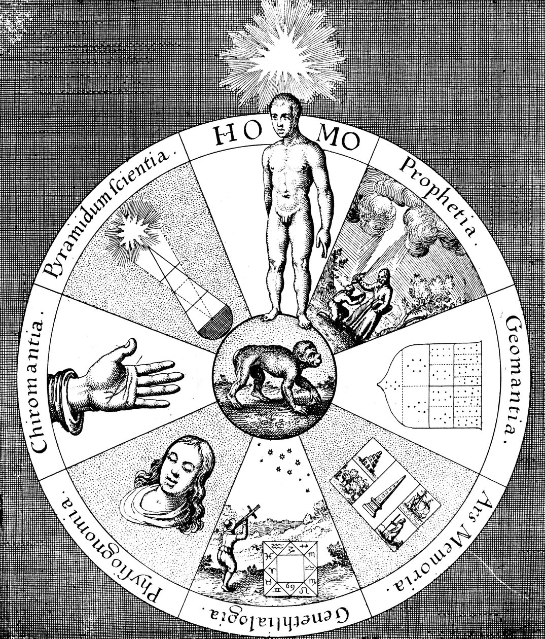 Synopsis des arts divinatoires - Unbekannt