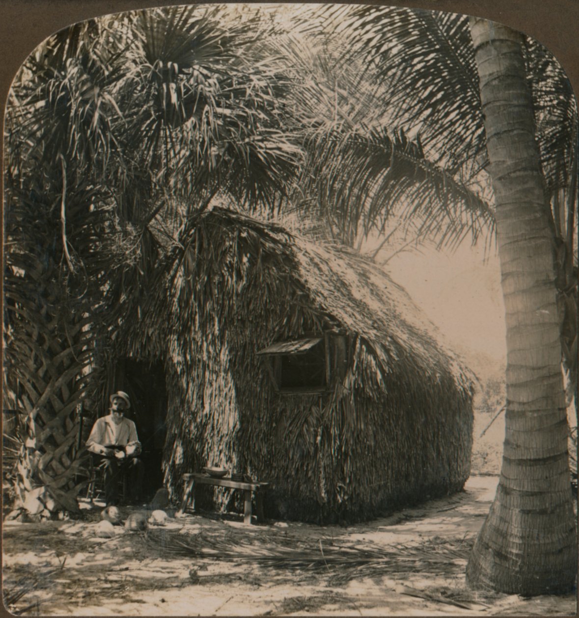 Chaumière dans le Cocoanut Grove, Floride, États-Unis - Unbekannt