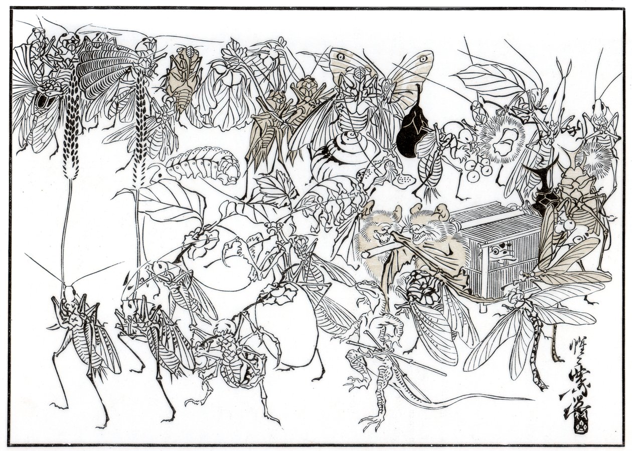 Le cortège de l