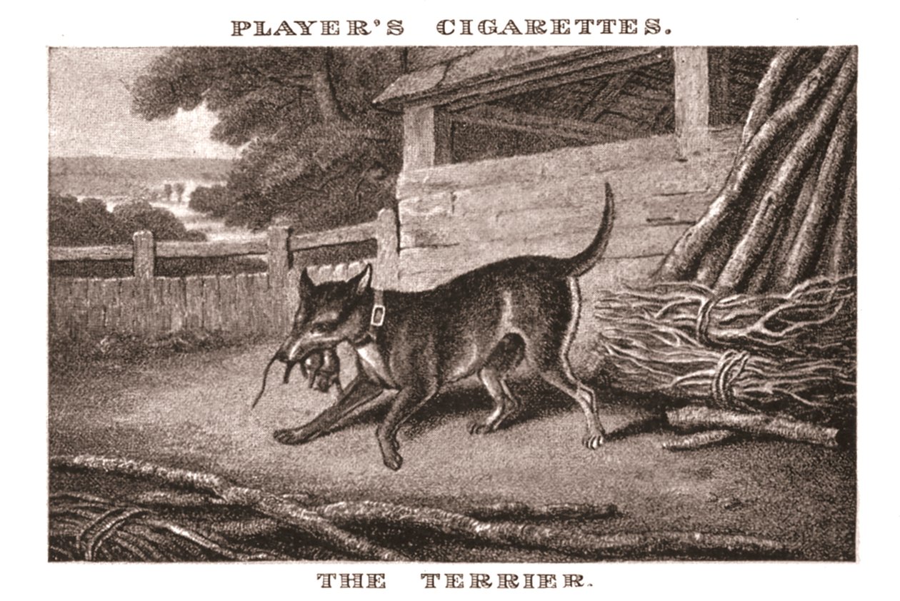 Le Terrier, 1924 - Unbekannt