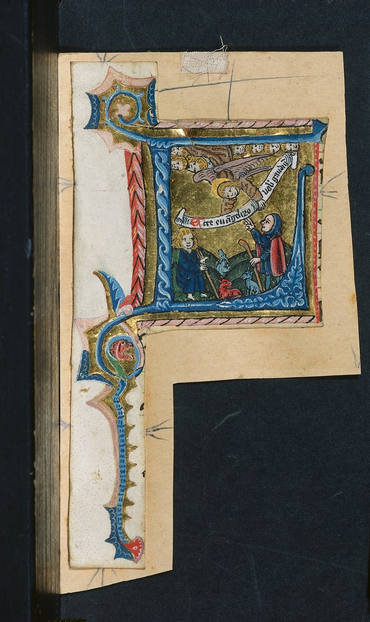 Trois découpes d