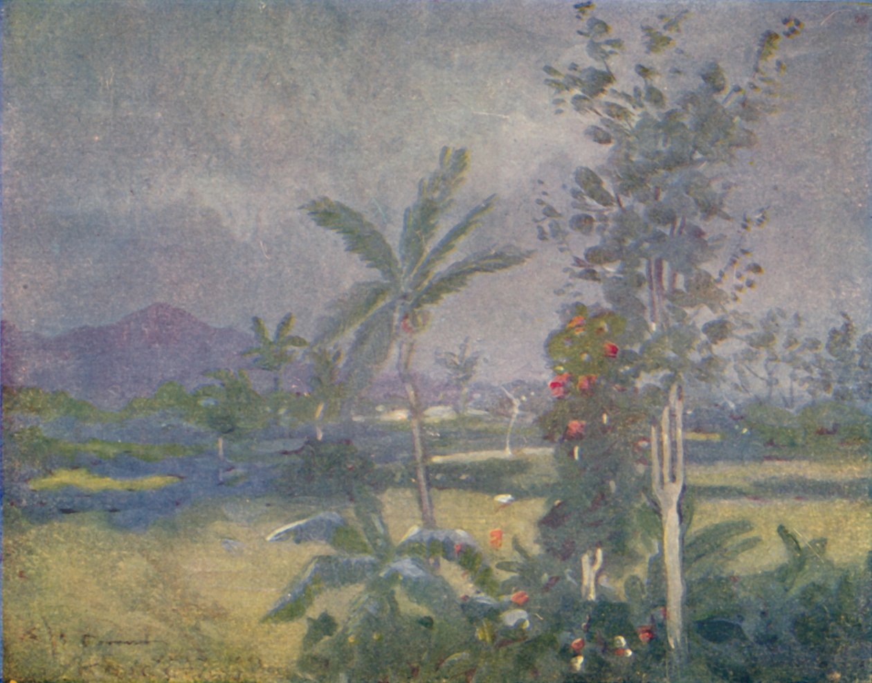 Pluies tropicales aux Antilles, 1924 - Unbekannt