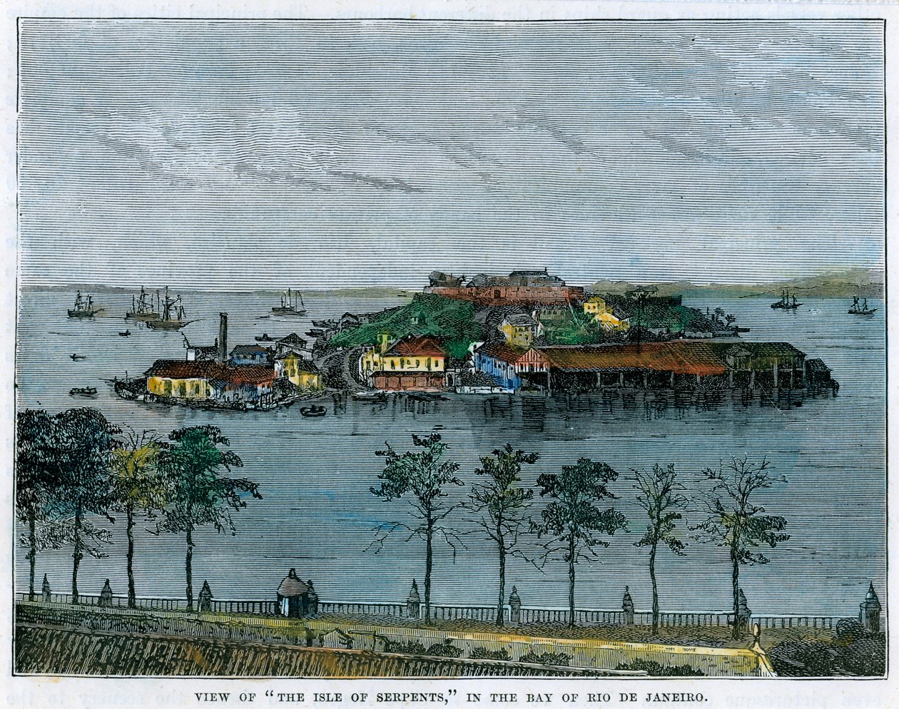 Vue de l