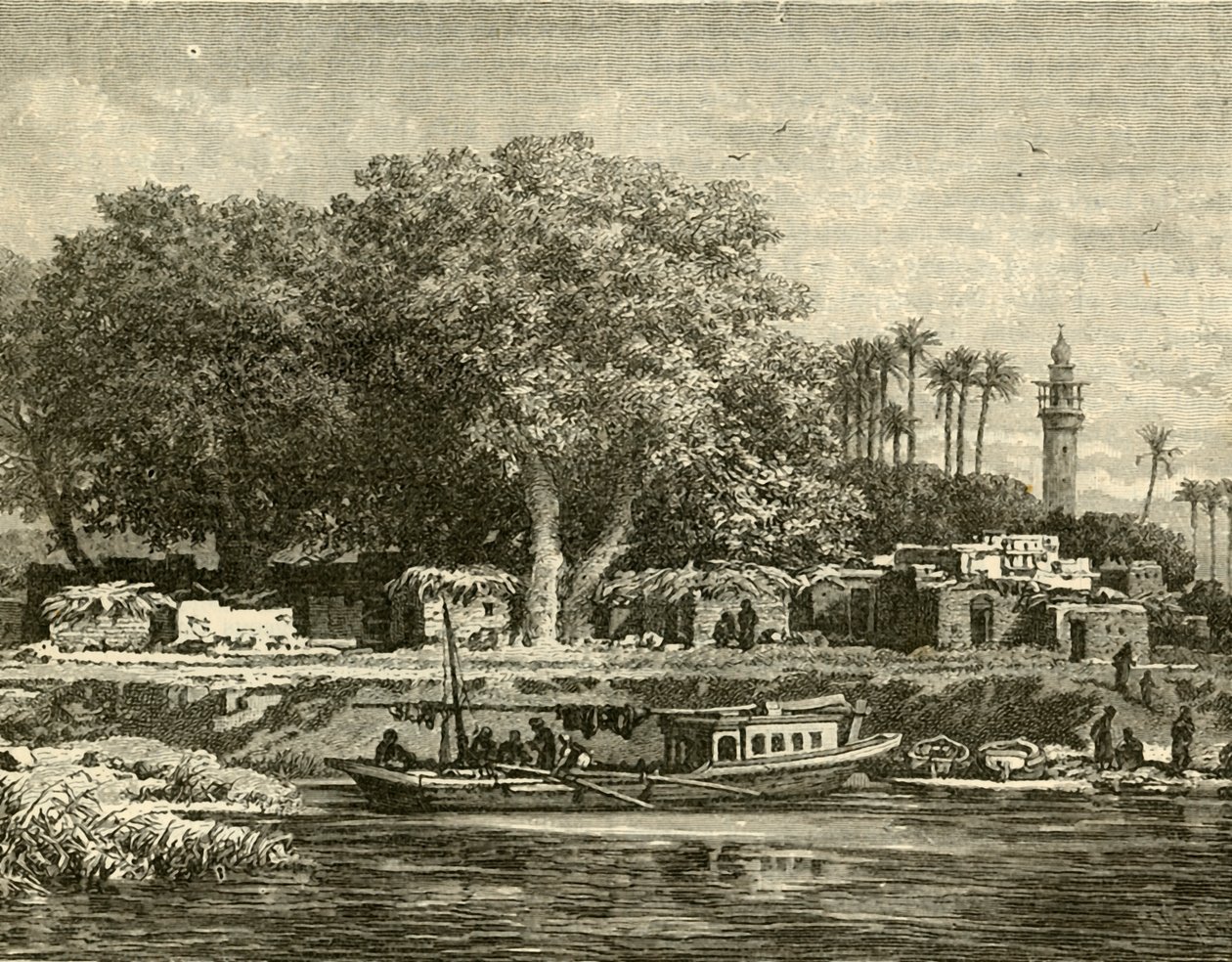 Vue sur le delta du Nil, 1890 - Unbekannt