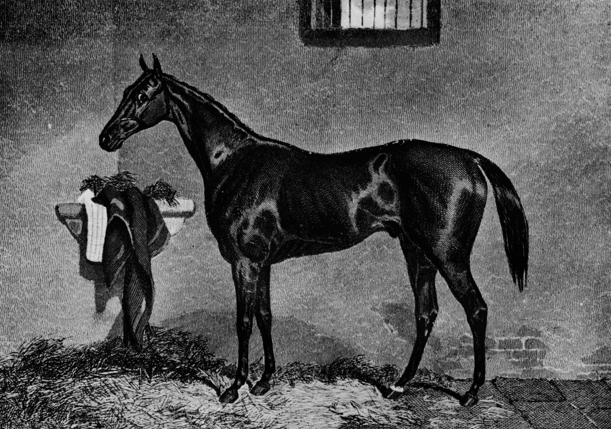 Voltigeur, 1847-1874, 1911 - Unbekannt