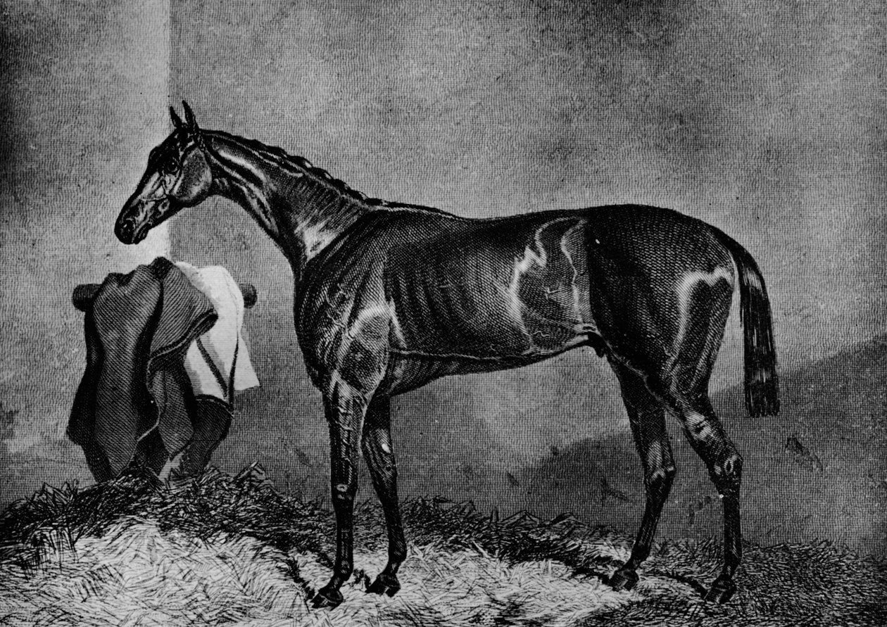 Wild Dayrell, 1852-1870, 1911 - Unbekannt