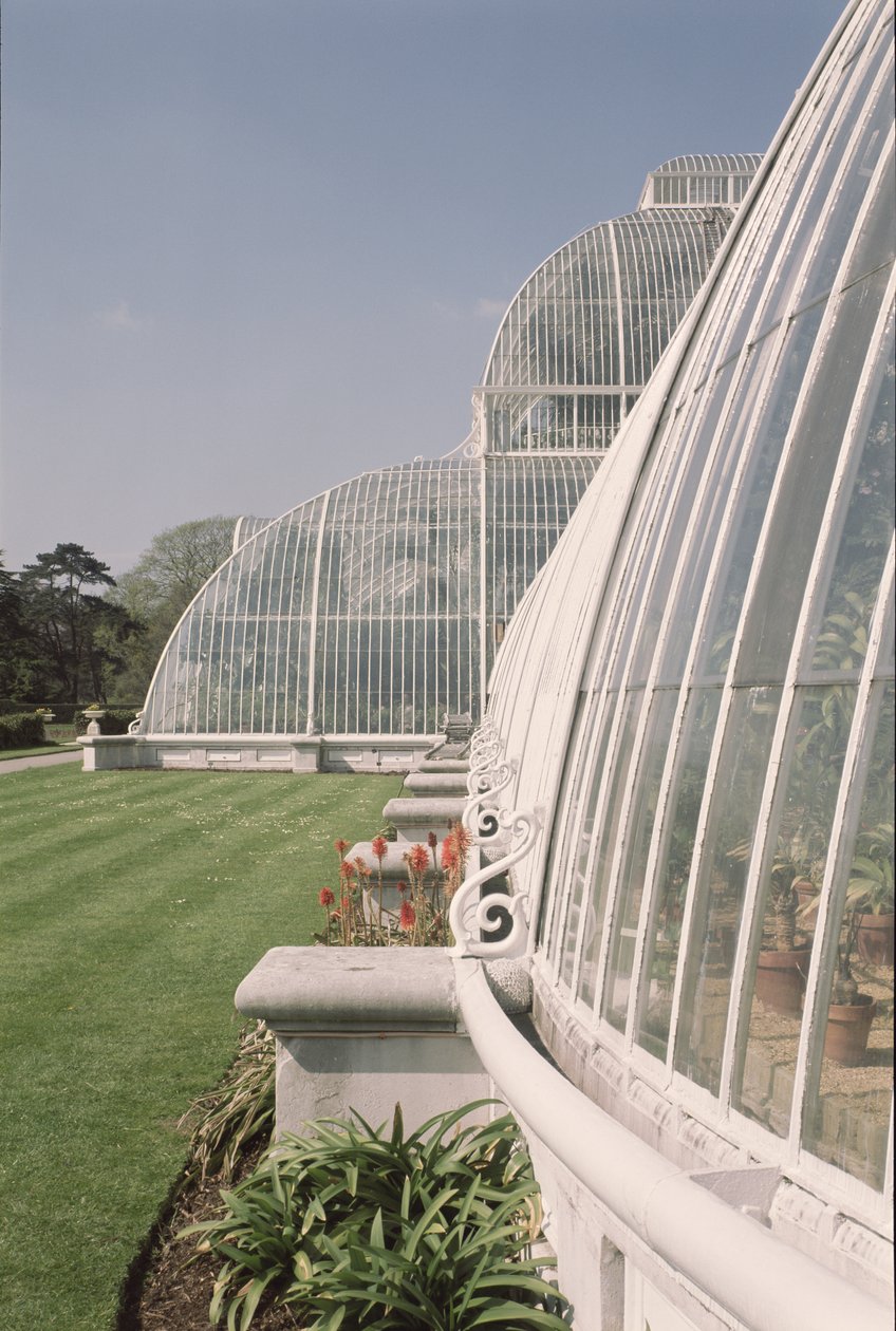 Section de la Palm House, conçue par Decimus Burton - Unbekannt Unbekannt