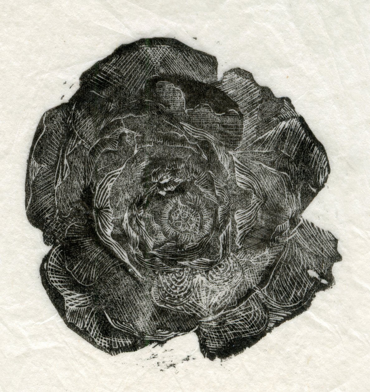 Rose de Pin, 2014 - Unbekannt Unbekannt