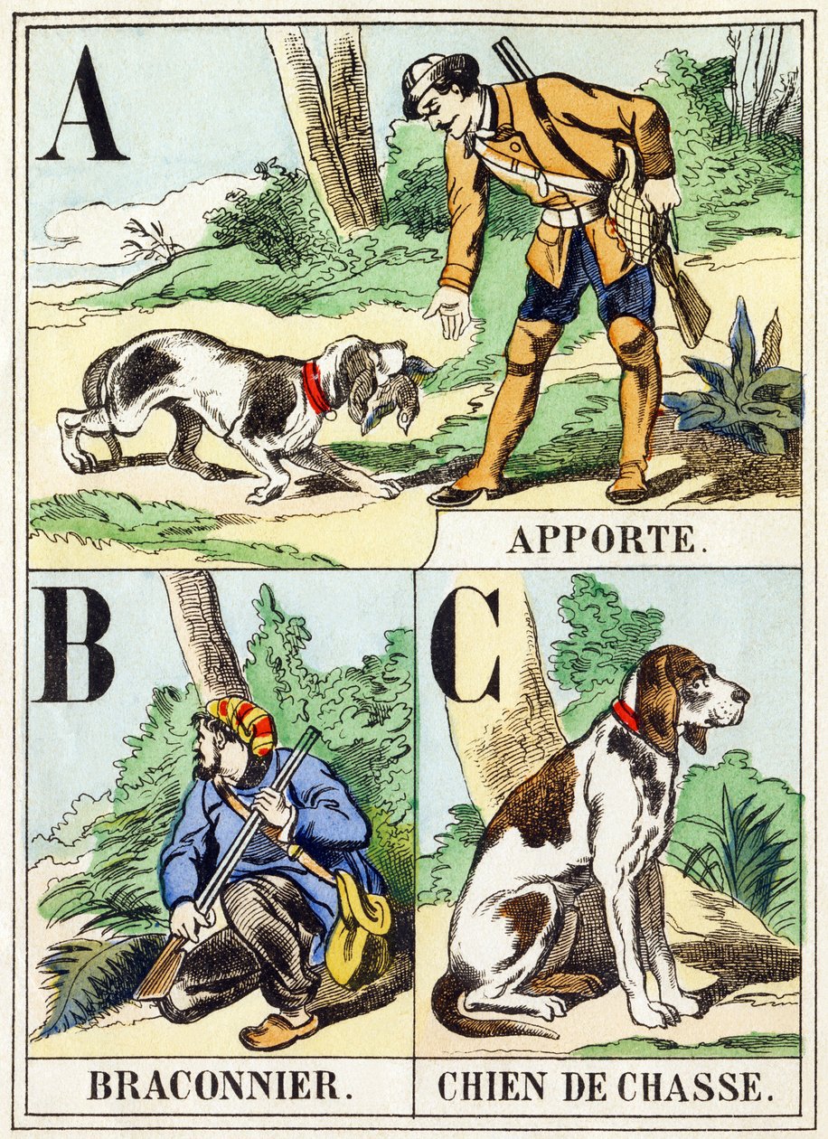 A B C : Apporte, Braconnier, Chien de chasse - L