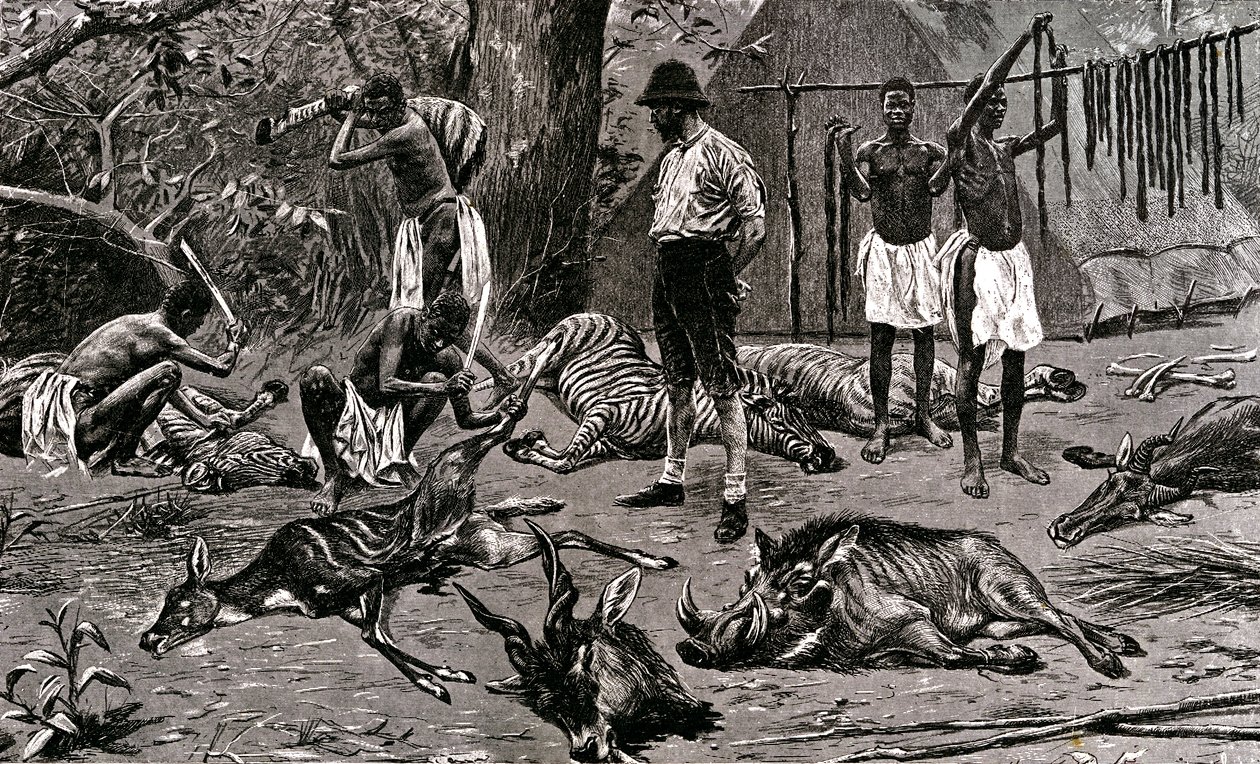 Un grand jour de chasse ! 1900 - Unbekannter Künstler