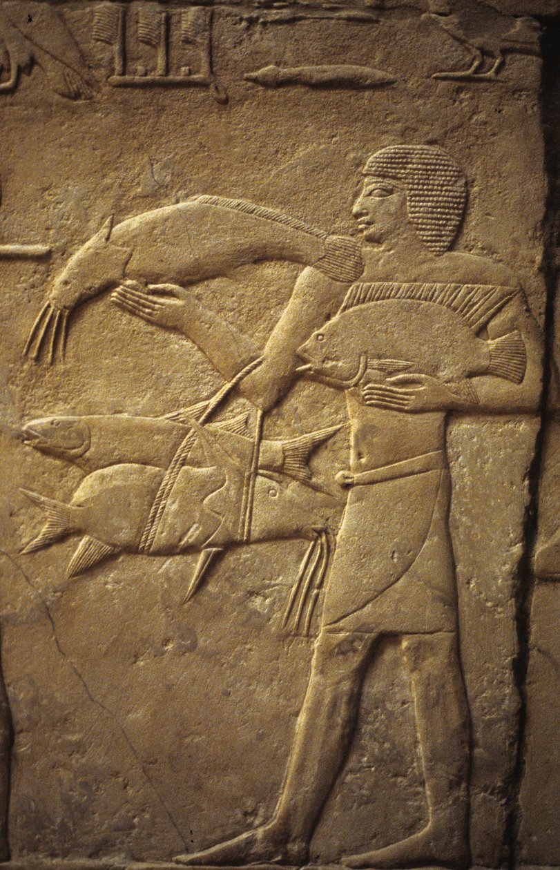 Saqqarah : nécropole de l