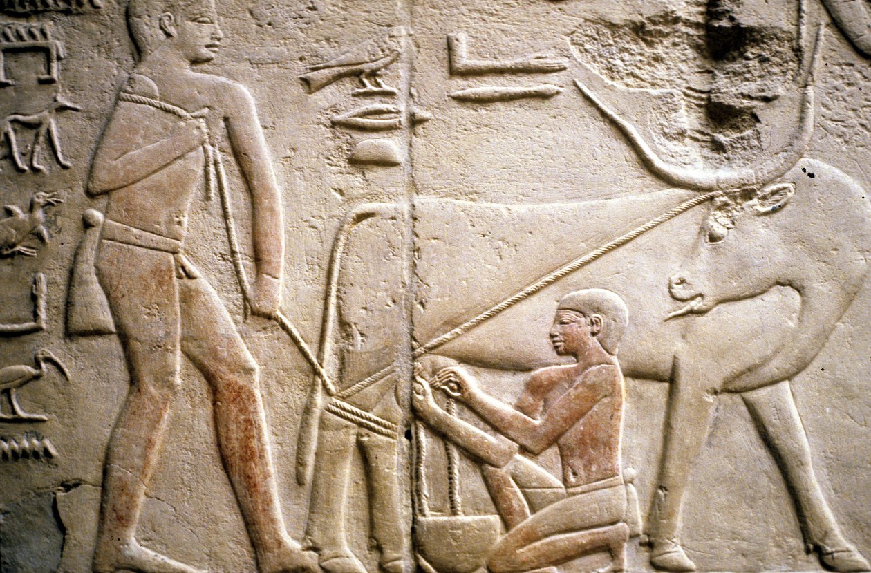 Saqqarah : nécropole de l