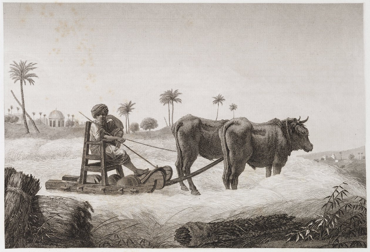 Machine à battre, Égypte, vers 1798 - Unbekannt