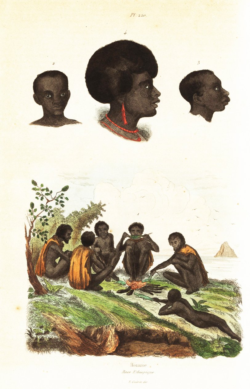 Aborigènes australiens et têtes de natifs de Waigeo, Papouasie occidentale. 1834-1839 (gravure) - Unbekannter Künstler