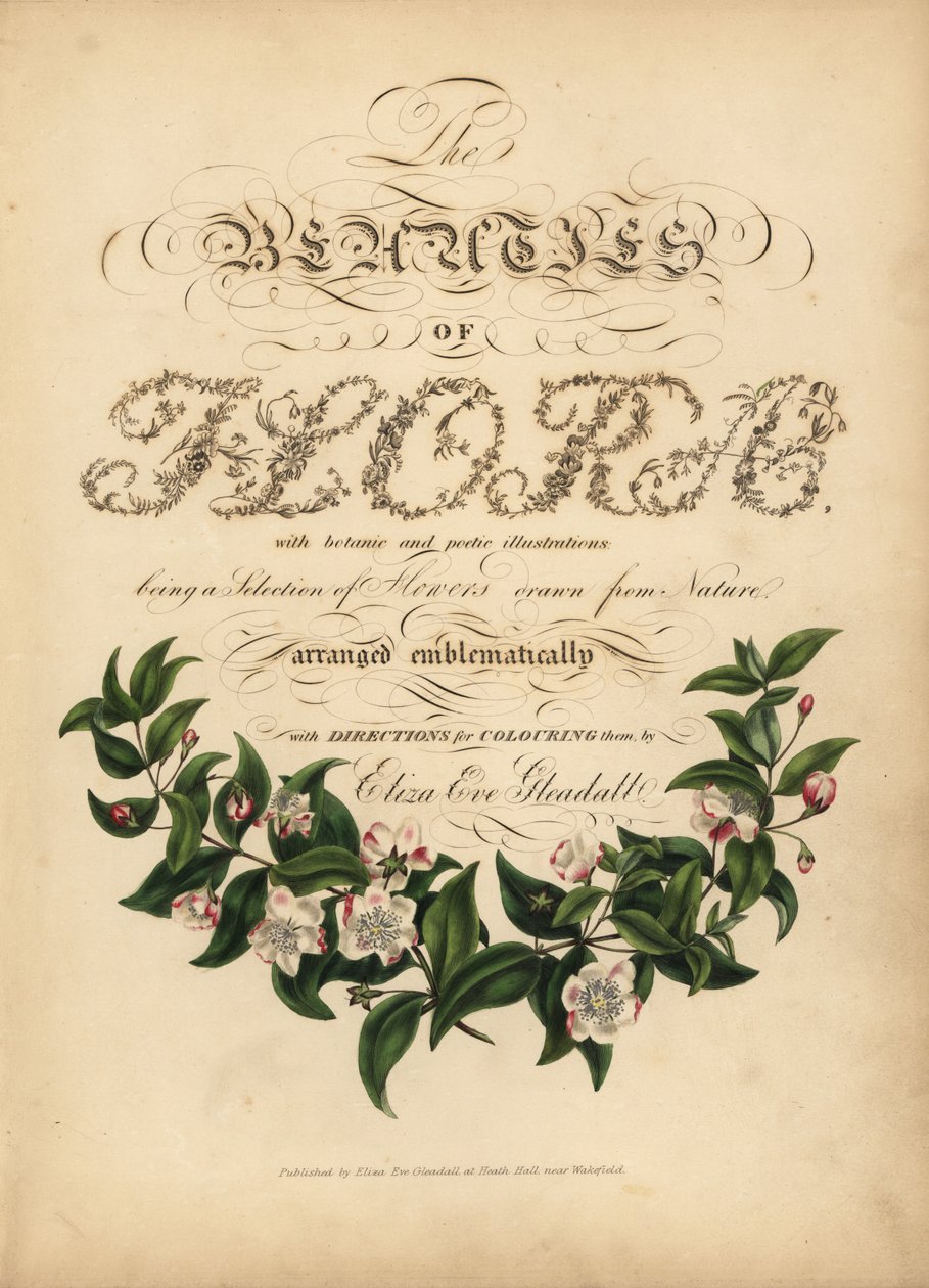 Page de titre calligraphique avec vignette botanique - Unbekannt