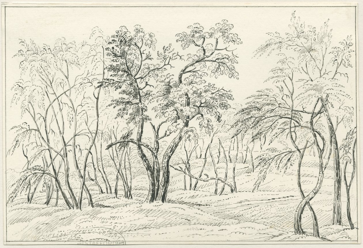Cannock Chase - Unbekannt