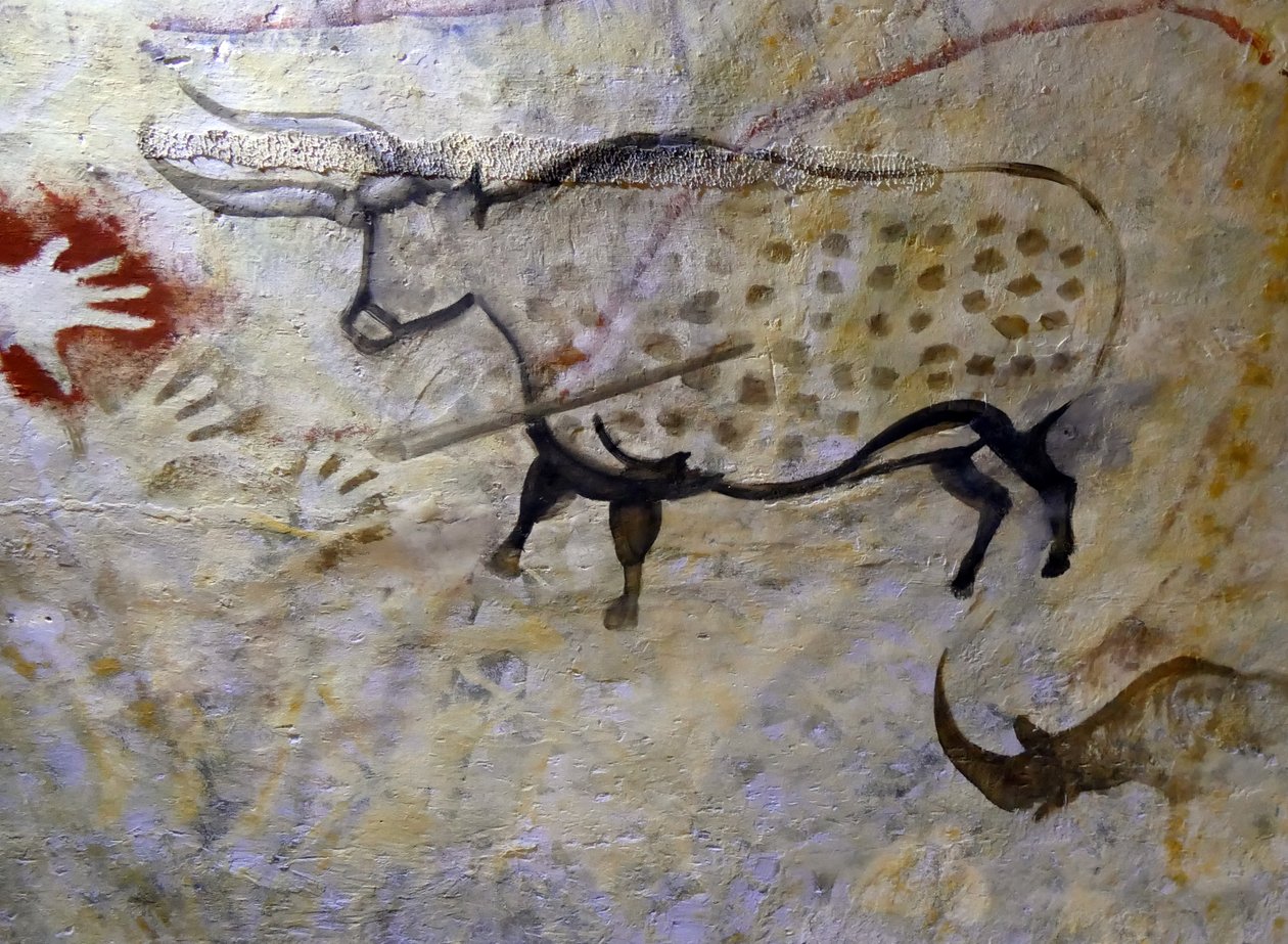 Peintures rupestres trouvées dans la grotte d