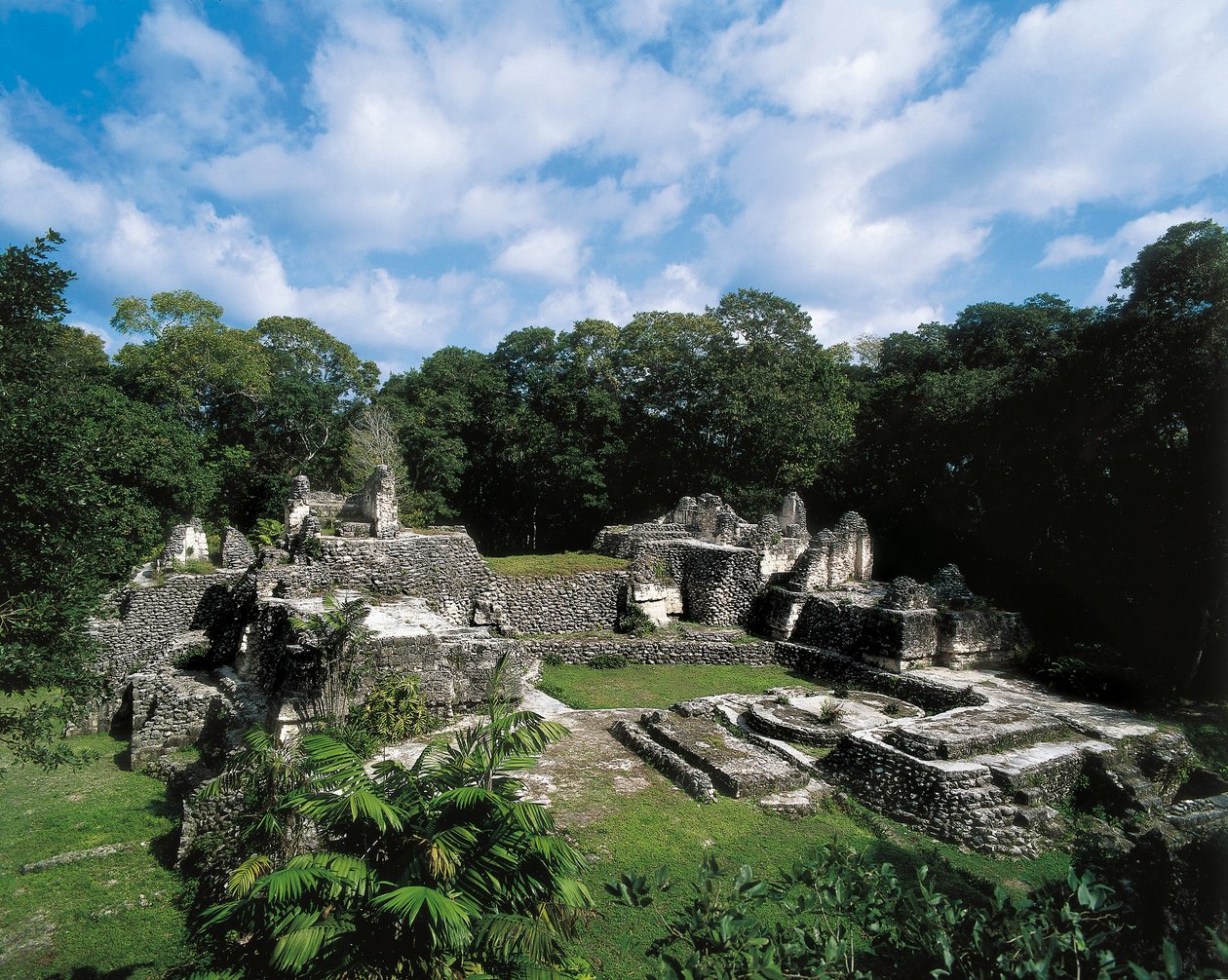 Civilisation précolombienne : vue du site Maya de Uaxactun - Alec Hunter