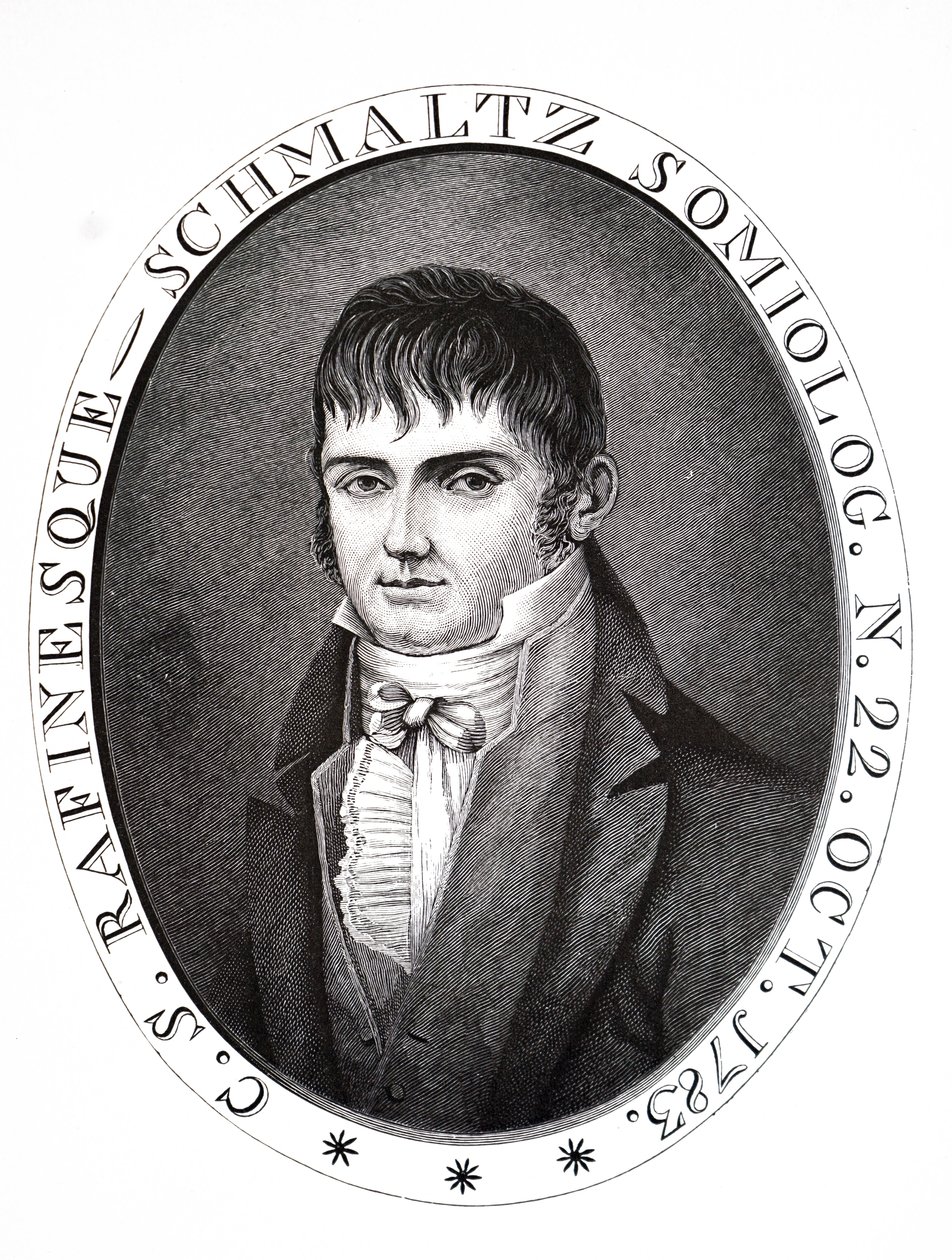 Constantine Samuel Rafinesque - Unbekannt