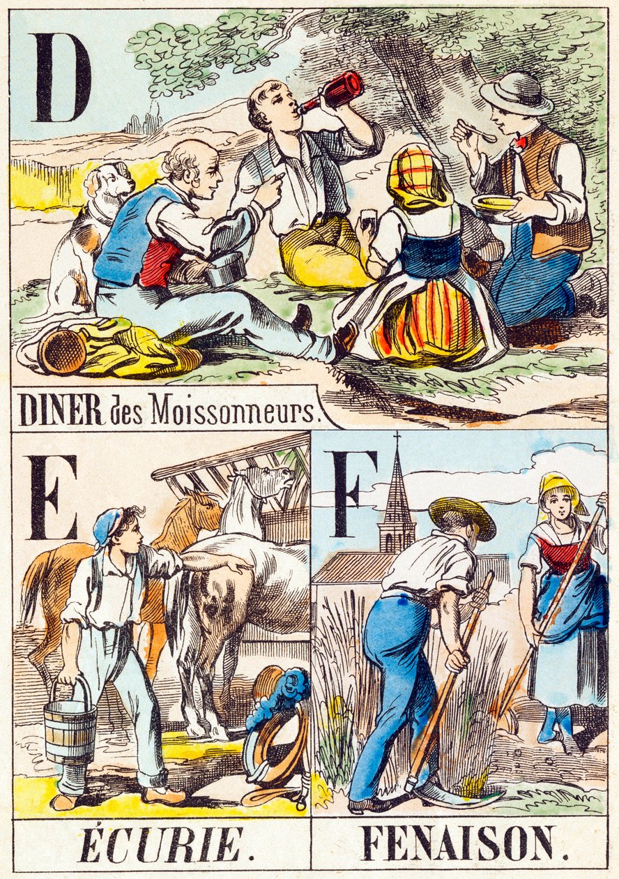 D E F : Dîner des moissonneurs, Écurie, Fenaison - « Alphabet de la ferme » fin du XIXe siècle (gravure) - Unbekannt