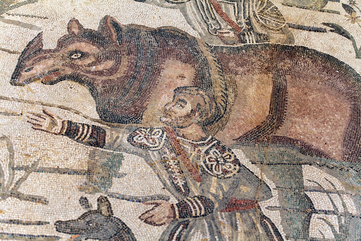 Détail de la mosaïque de la grande chasse. Un rhinocéros est conduit sur un bateau pour être transporté au port le plus proche. IIIe - IVe siècle. Villa romaine du Casale, Sicile. Site UNESCO. - William M. Timlin