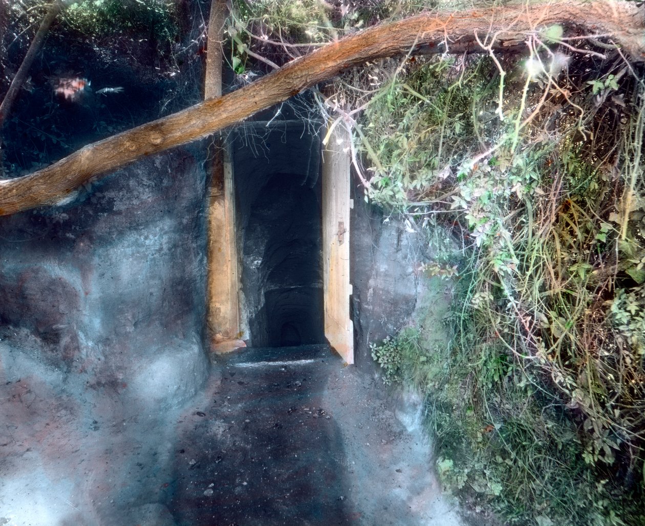 Grotte des chiens près de Naples - les chiens s