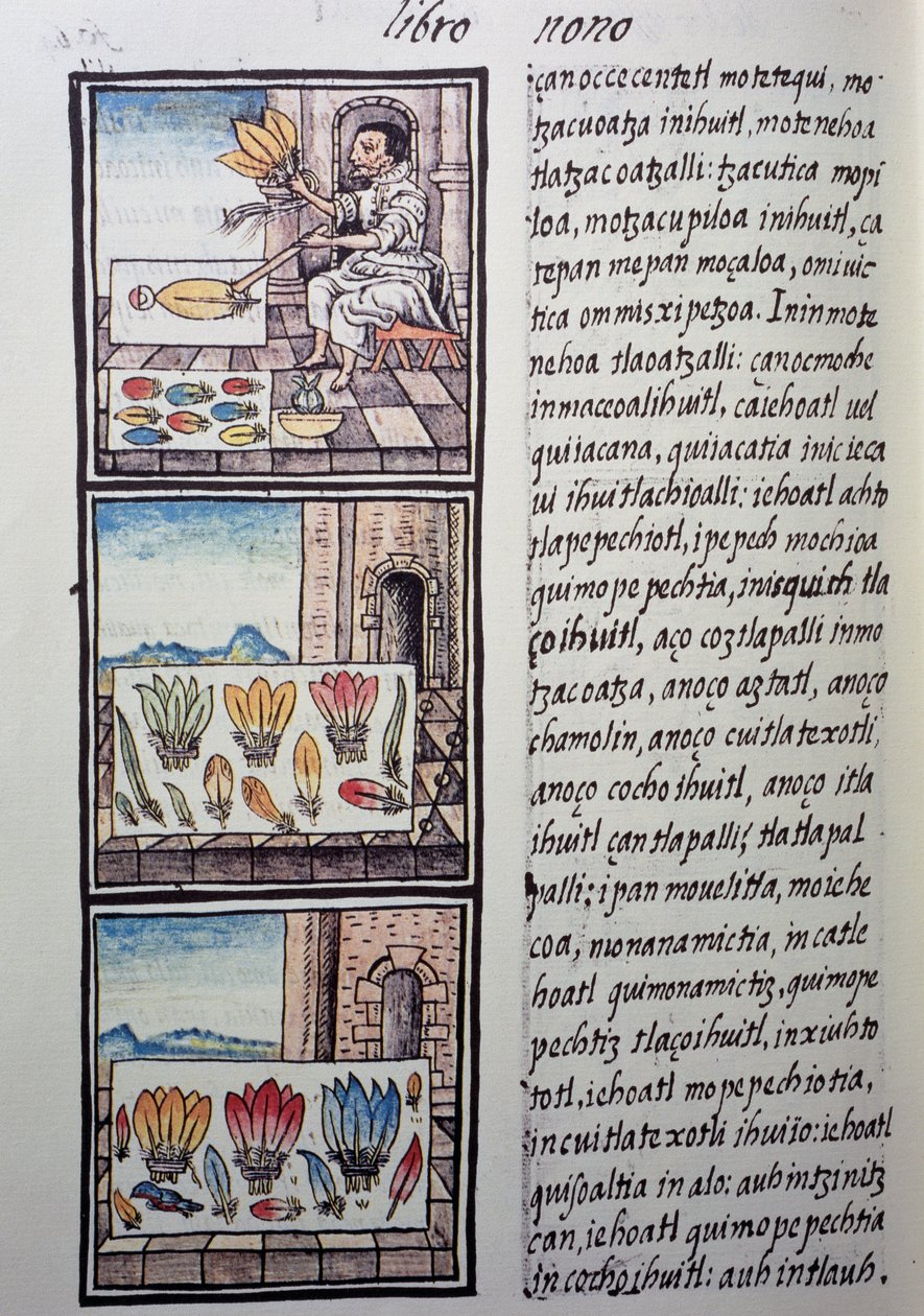 Traitement des plumes après la conquête espagnole, page du Codex Florentin - William M. Timlin