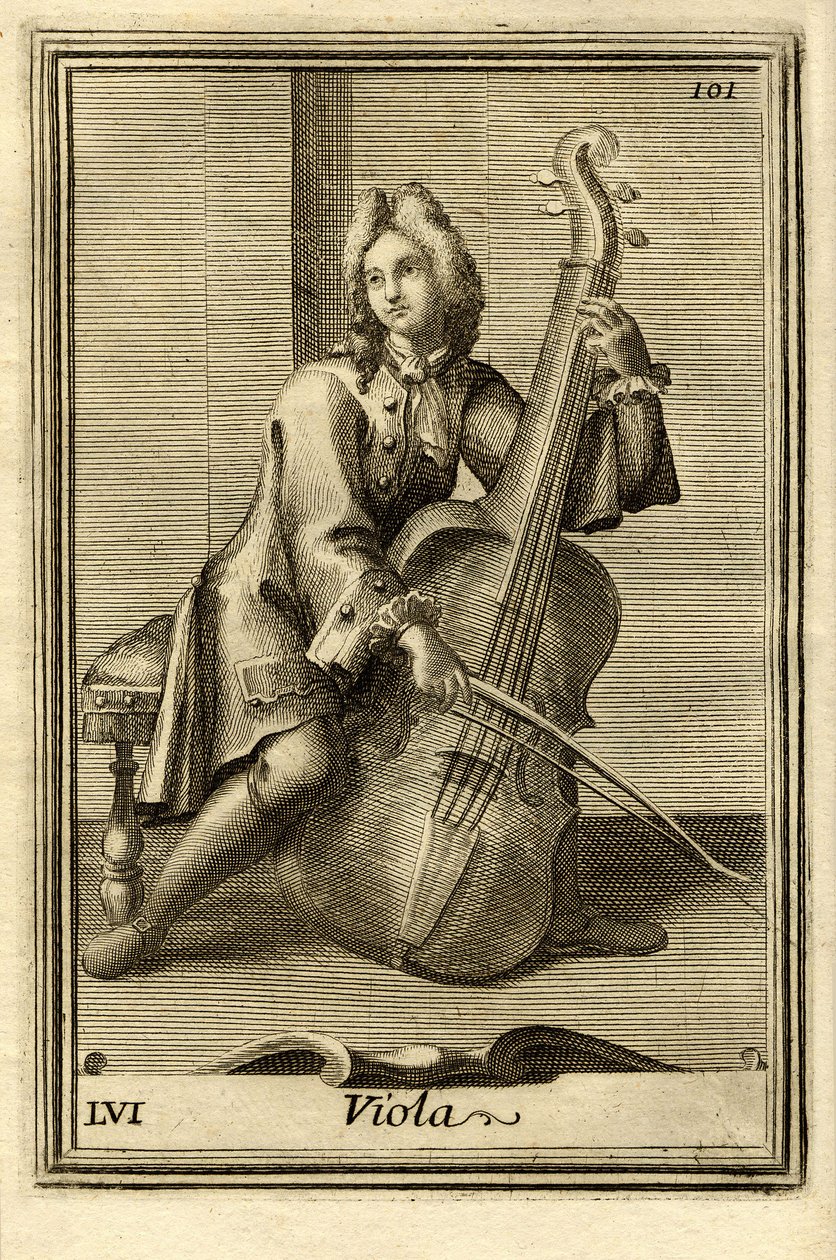 Homme jouant du violoncelle (ou "Viola"). Dans Gabinetto Armonico de Filippo Bonanni, Rome - Unbekannter Künstler