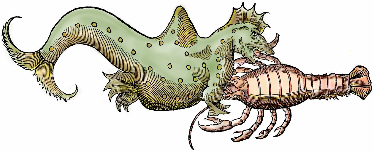 Dragon marin et crustacé géant, xylographie tirée de "Paralipomena accuratissima historiae omnium animalium quae in voluminibus Aldrovandi desiderantur" par Bartholomaeus Ambrosinus - Unbekannter Künstler