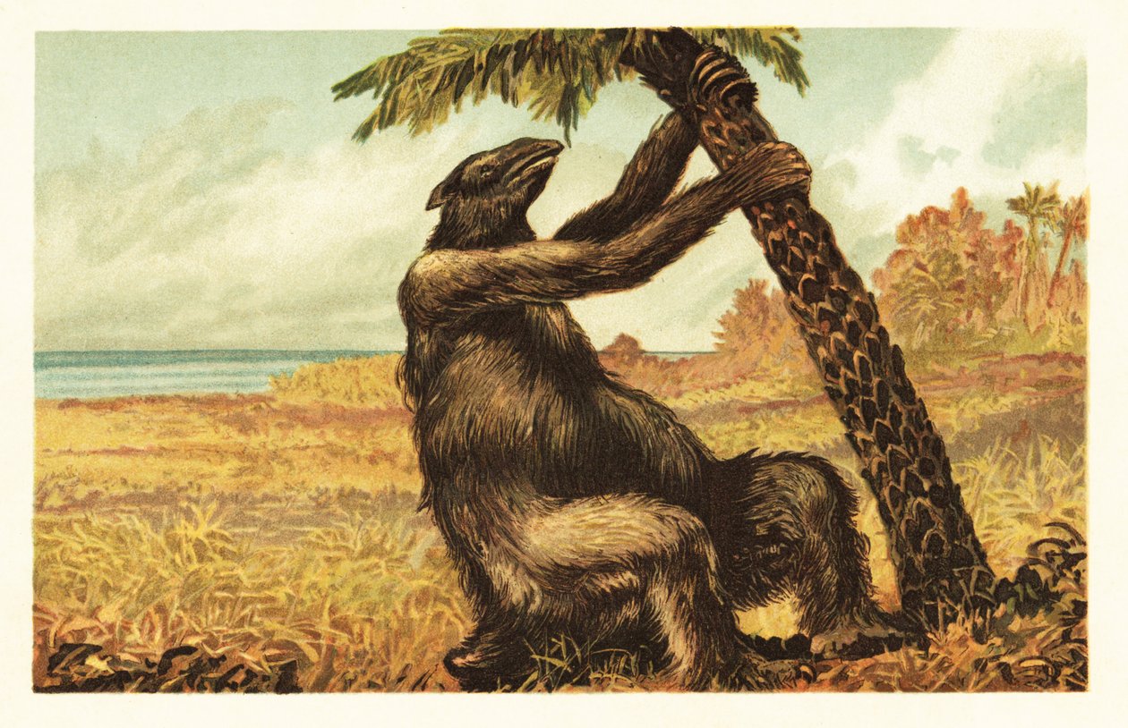 Megatherium americanum tirant sur un palmier - Unbekannter Künstler