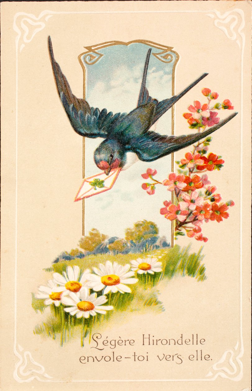 Vieille carte postale / Hirondelle / Message - Unbekannt