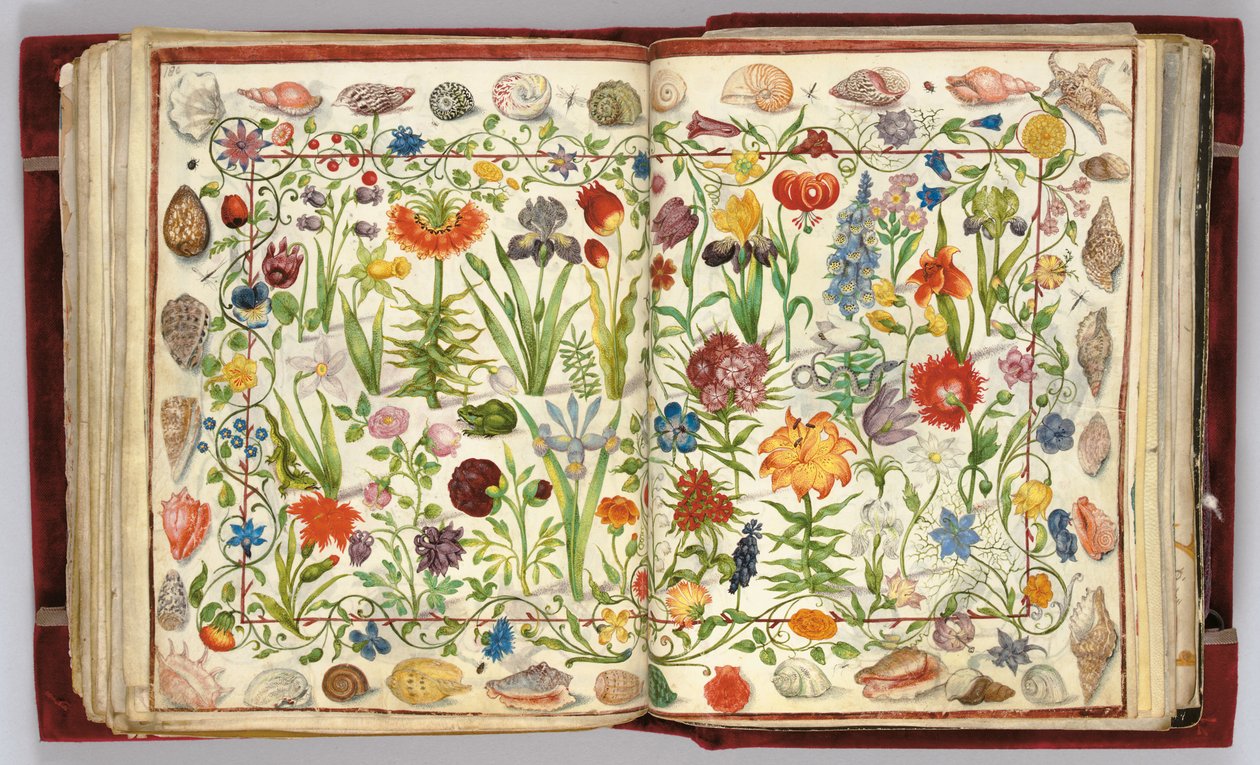 Pages de l