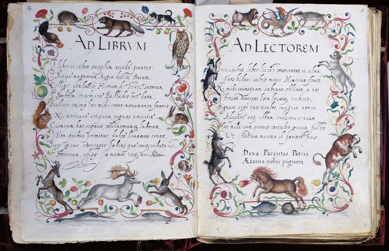 Pages de l