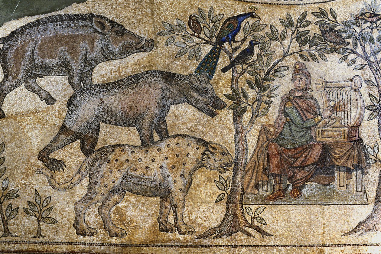 Picardie 073 - Laon - Maison des Associations - Mosaïque romaine de Blanzy - « Orphée charme les animaux » - Unbekannt