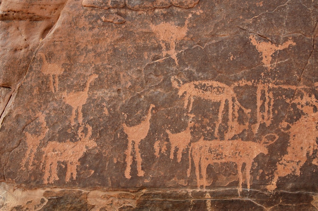 Art rupestre, Préhistoire : Détail d