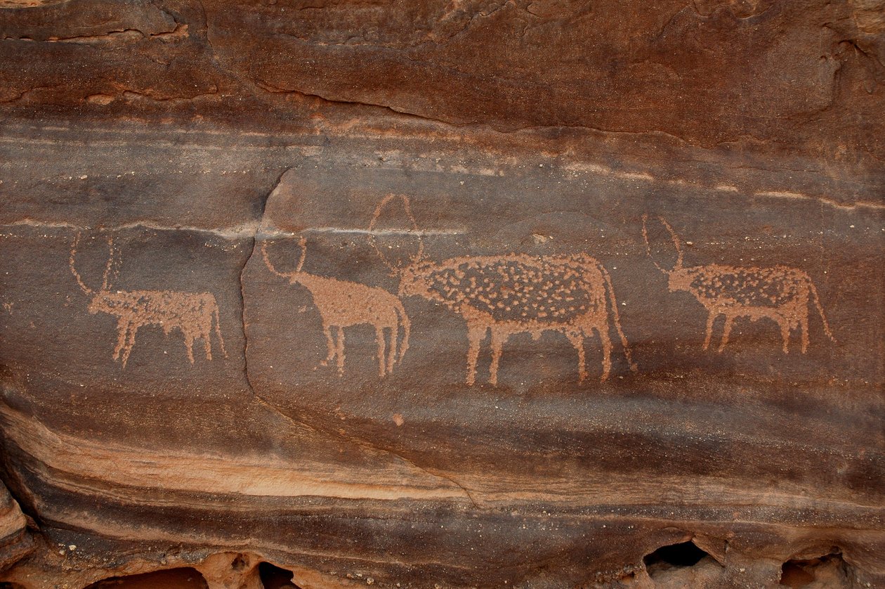 Art rupestre, Préhistoire : Gravure de quatre bovins dans le massif de l