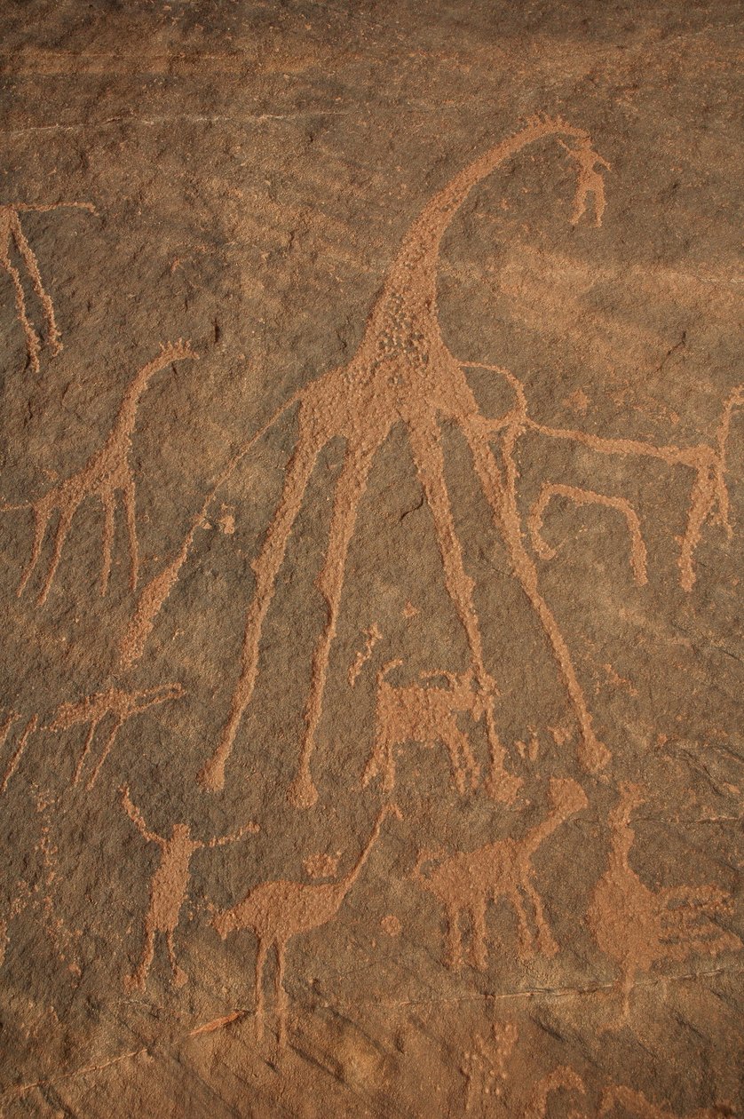 Art rupestre, Préhistoire : Gravure de girafes, autruches, moutons et personnages dans le massif de l