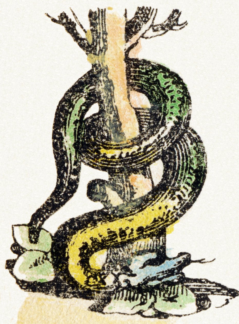 S - Serpent - Alphabet de divertissement pour enfants c.1890 - Unbekannt