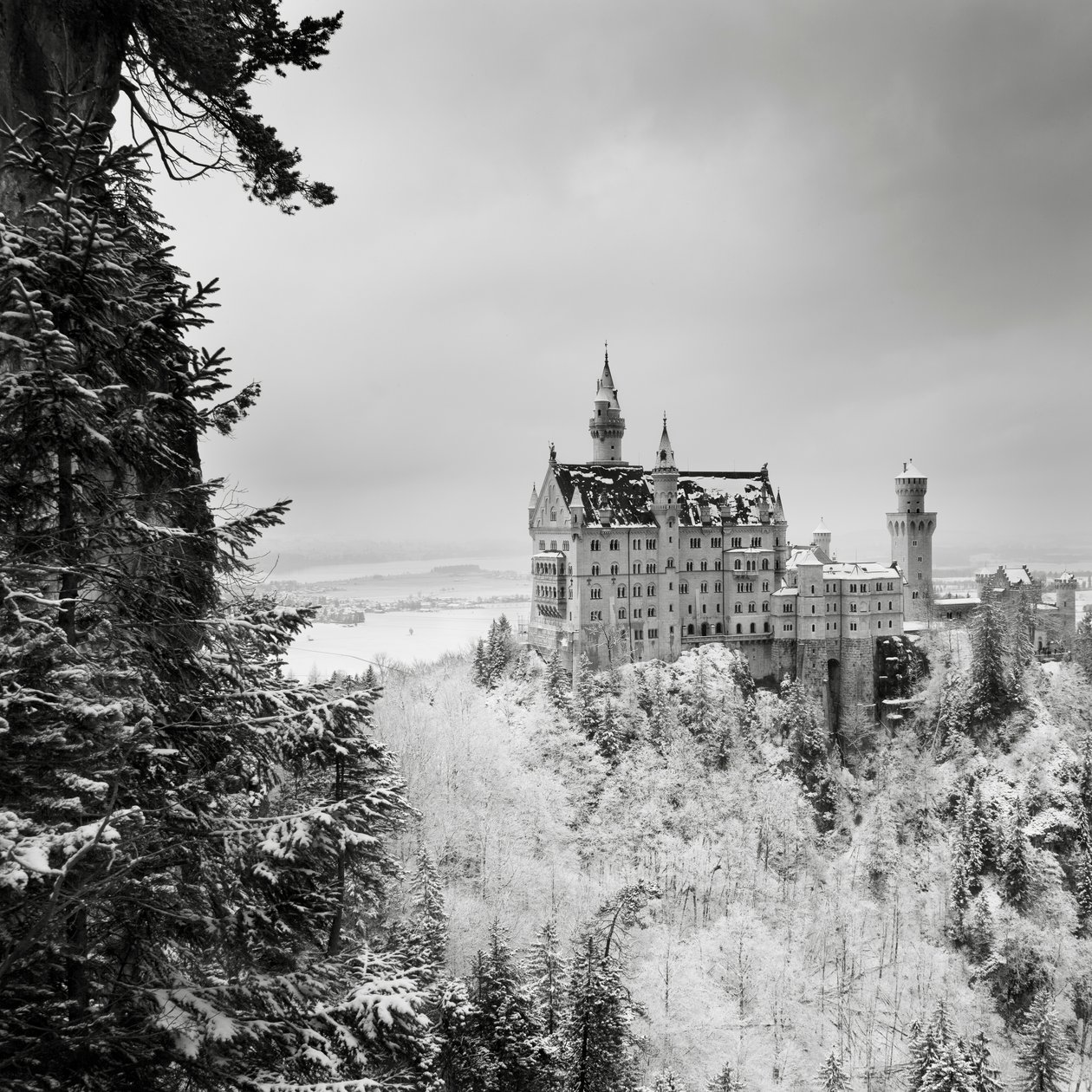 Château de Neuschwanstein, Füssen, Allemagne - Leopold Blonder
