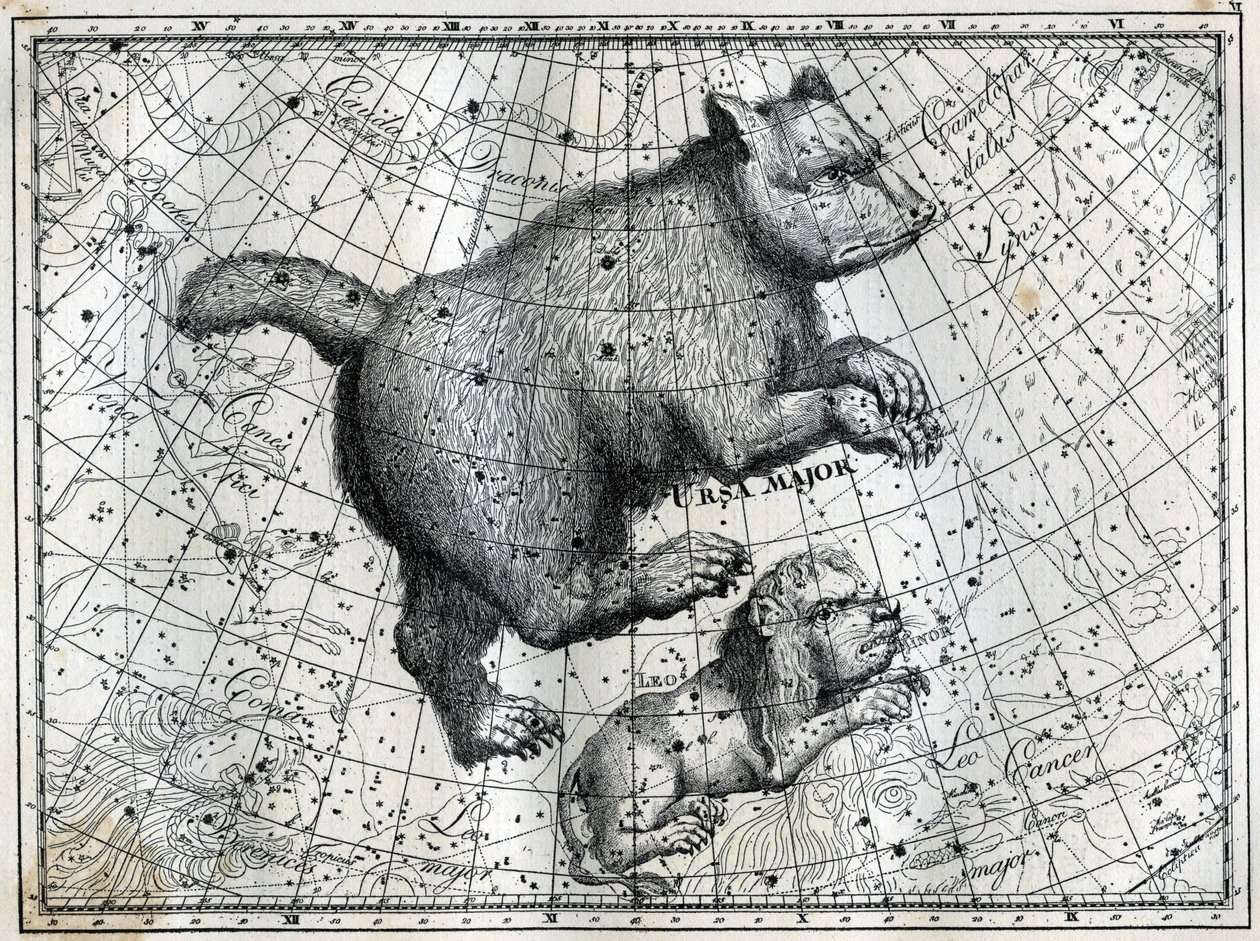 Les constellations boréales : la Grande Ourse et le Petit Lion. Gravure tirée de « Les étoiles et les autres curiosités du ciel » de Camille Flammarion - Unbekannt